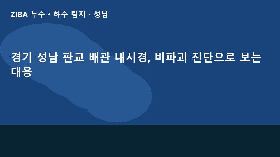 경기 성남 판교 배관 내시경, 비파괴 진단으로 보는 대응