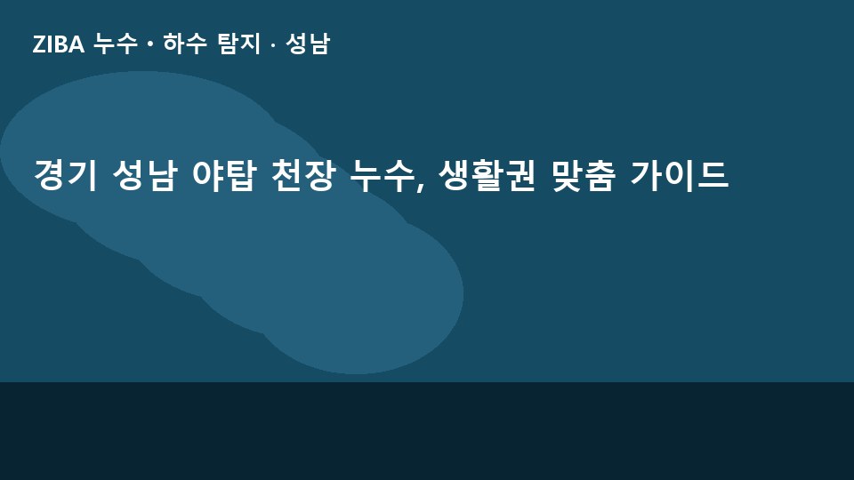 경기 성남 야탑 천장 누수, 생활권 맞춤 가이드