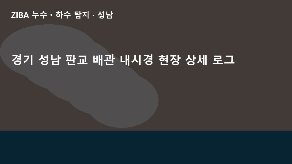 경기 성남 판교 배관 내시경 현장 상세 로그