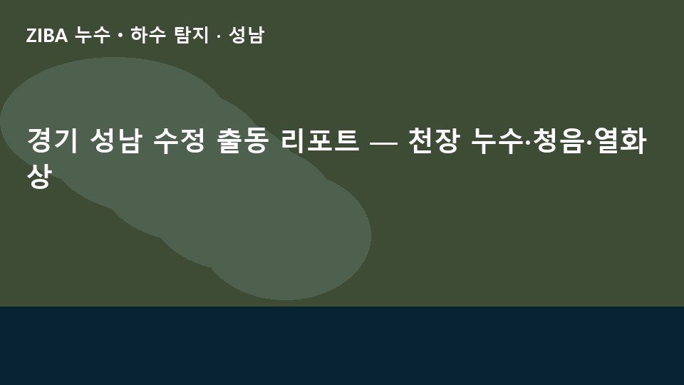 경기 성남 수정 출동 리포트 — 천장 누수·청음·열화상