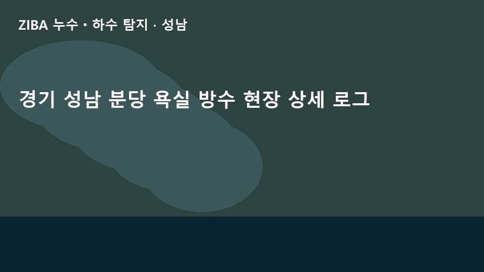 경기 성남 분당 욕실 방수 현장 상세 로그