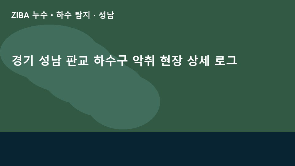 경기 성남 판교 하수구 악취 현장 상세 로그