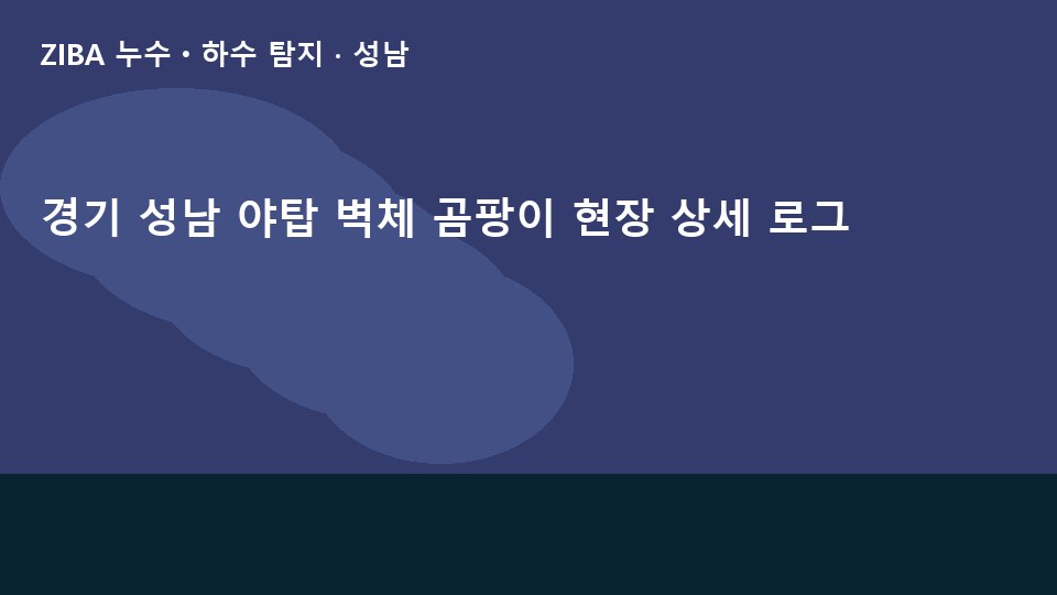 경기 성남 야탑 벽체 곰팡이 현장 상세 로그