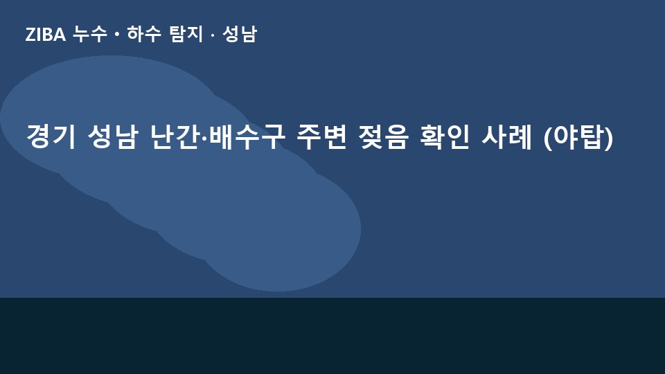 경기 성남 난간·배수구 주변 젖음 확인 사례 (야탑)