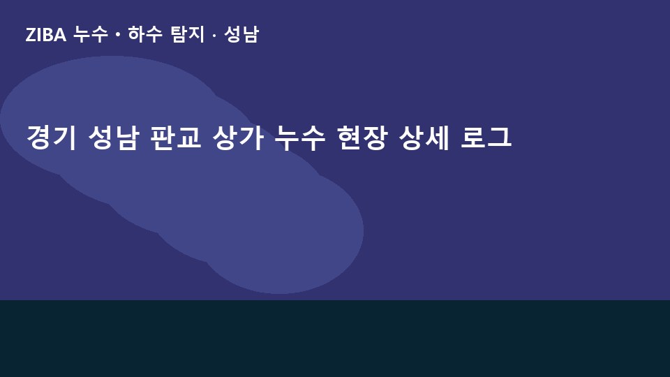 경기 성남 판교 상가 누수 현장 상세 로그